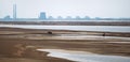 Terrible Disaster Ecocide landscape of dried up Kakhovka Reservoir in Zaporizhzhia region as a result of Kakhovka Dam damaging on