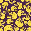 Terrible frightening seamless pattern with skull Royalty Free Stock Photo