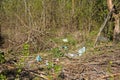 Terrible landfill in the woods. Concept of anthropogenic pollution of forests and nature. There`s a lot of rubbish in the forest Royalty Free Stock Photo