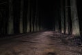 Terrible mysterious road through the forest at night