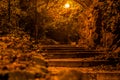 A terrible road with stairs in the night park paving stones paved with stone balustrade in the trees with lights streetlight in Ro Royalty Free Stock Photo