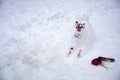 A terrible ugly snowman sculpted from the snow Royalty Free Stock Photo