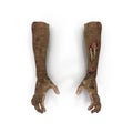 Terrible zombie hands, dirty hands of the mummy, on white. 3D illustration