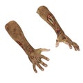 Terrible zombie hands, dirty hands of the mummy, on white. 3D illustration, clipping path