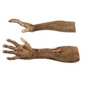 Terrible zombie hands, dirty hands of the mummy, on white. 3D illustration, clipping path