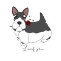 Miniature Schnauzer dog with rose in mouth and I woof you word cartoon illustration