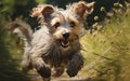 Terrier Dog Sprinting Through Grass. Generative AI Royalty Free Stock Photo