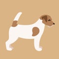 Terrier Jack Russell puppy,vector illustration,flat style,