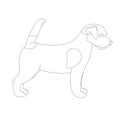 Terrier Jack Russell puppy,vector illustration, lining draw