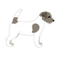 Terrier Jack Russell puppy,vector illustration, lining draw