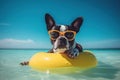 Terrier on the Tide: A Festive Stock Photo of a Boston Terrier Lounging on a Beach Float with Sunglasses - Generative AI Royalty Free Stock Photo