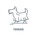 Terrier vector line icon, linear concept, outline sign, symbol Royalty Free Stock Photo