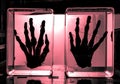 Terrific black hands inside glass box with dirty pink light background