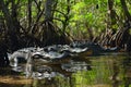 Terrifying Alligator head. Generate Ai