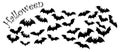 Terrifying black bats flock isolated on white vector. Halloween background. Flying fox night creatures illustration