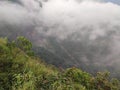 The Terrifying Dance of a Gigantic Tornado in the Heart of the Wilderness\