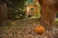 A terrifying Halloween pumpkin built under a tree in a park of autumn-coloured leaves