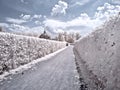 Territory of farmstead Kuskovo. Infrared photo