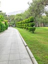 Territory of the luxury hotel with lots of green plants