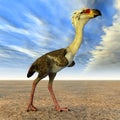 Terror Bird Phorusrhacos