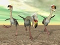 Terror Bird Phorusrhacos