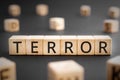 Terror - word from wooden blocks with letters