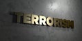 Terrorism - Gold sign mounted on glossy marble wall - 3D rendered royalty free stock illustration