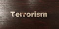 Terrorism - grungy wooden headline on Maple - 3D rendered royalty free stock image