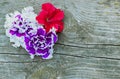 Terry petunia flowers on the old wooden table