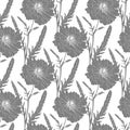 Terry poppy. Floral seamless texture.