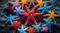 tertwed starfish sea star In the second photo Royalty Free Stock Photo