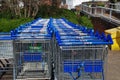 Tesco supermarket trolleys, Tenterden