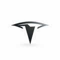 Tesla Emblem Design: Clear And Precise Bird Art With Sharp Perspective Angles