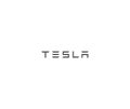 Tesla logo editorial illustrative on white background
