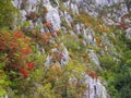 The Gorges of Tesna river.