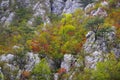 The Gorges of Tesna river in autumn.