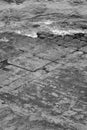 Tessellated Pavement in Pirates Bay. Black and White.