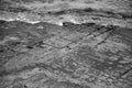 Tessellated Pavement in Pirates Bay. Black and White.