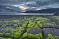 Tessellated Pavement at Port Arthur in Tasmania Royalty Free Stock Photo