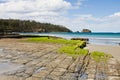 Tessellated pavement, Tasmania