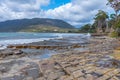 Tessellated Pavement in Tasmania, Australia Royalty Free Stock Photo