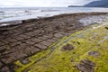 Tessellated Pavement - Tasmania Royalty Free Stock Photo