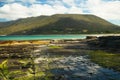 Tessellated pavement in Tasmania in Australia Royalty Free Stock Photo