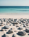 Tessellated Rocks On The Beach With The Ocean. Royalty Free Stock Photo