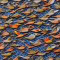 A tessellation of birds in various sizes and colors, perching in different directions1, Generative AI Royalty Free Stock Photo
