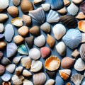 A tessellation of seashells in various sizes and colors, arranged in different directions1, Generative AI