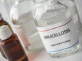 Test brucellosis in laboratory