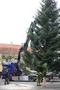 Test For DiabetesCrane lifts and installs a Christmas tree on the town square