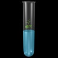 Test tube fertilization