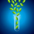 Test tube and green leaf